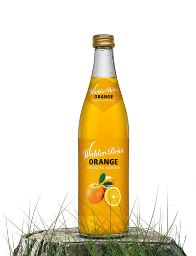 Walderbräu Orange Limonade 20 x 0,5 l
