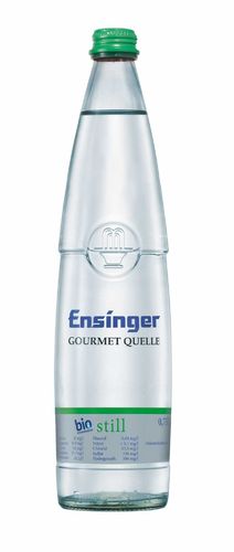 Ensinger Still Gourmet  Wasser Bio 12 x 0,75 l